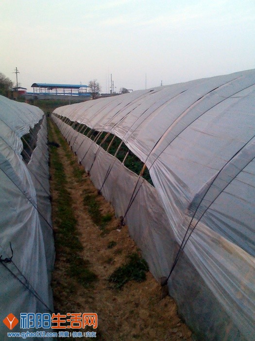 aIMG_20111225_172803.jpg