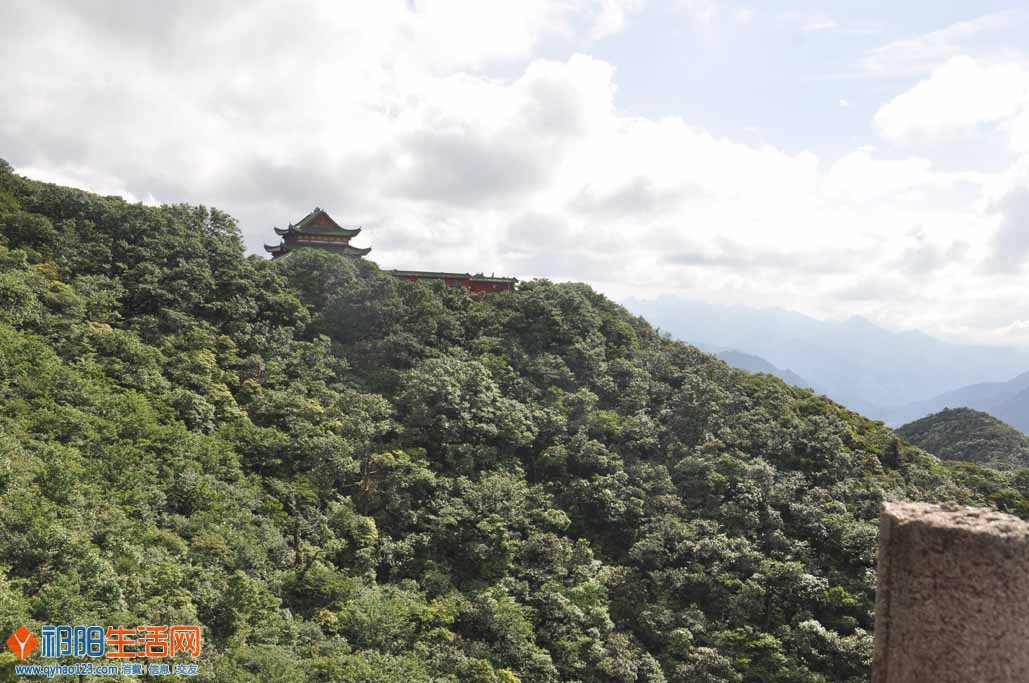 照片 157.jpg
