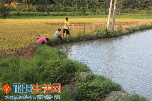 黄昏后 真凉快