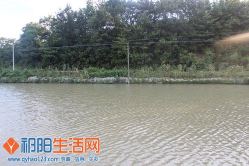 这就是我们的战场