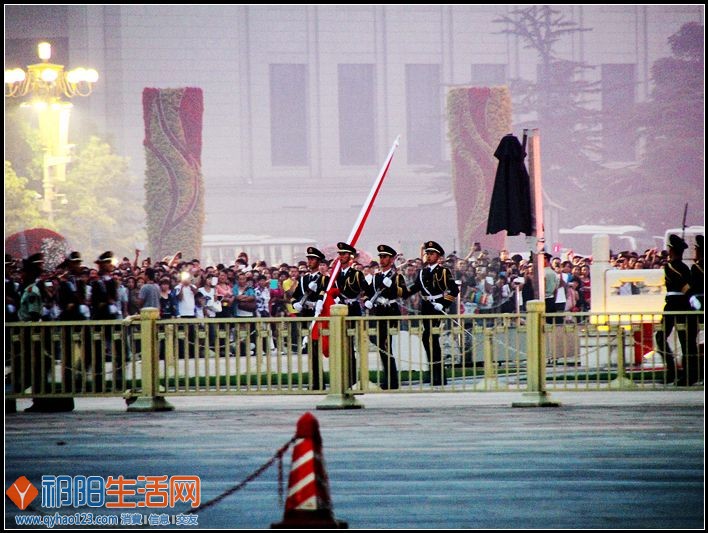三角梅 191.JPG