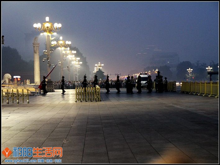 三角梅 222.JPG