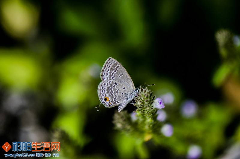 DSC_4735.jpg