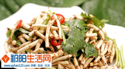 凉拌折耳根