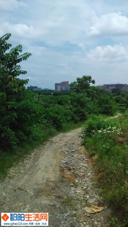 QQ图片20140702201345.jpg