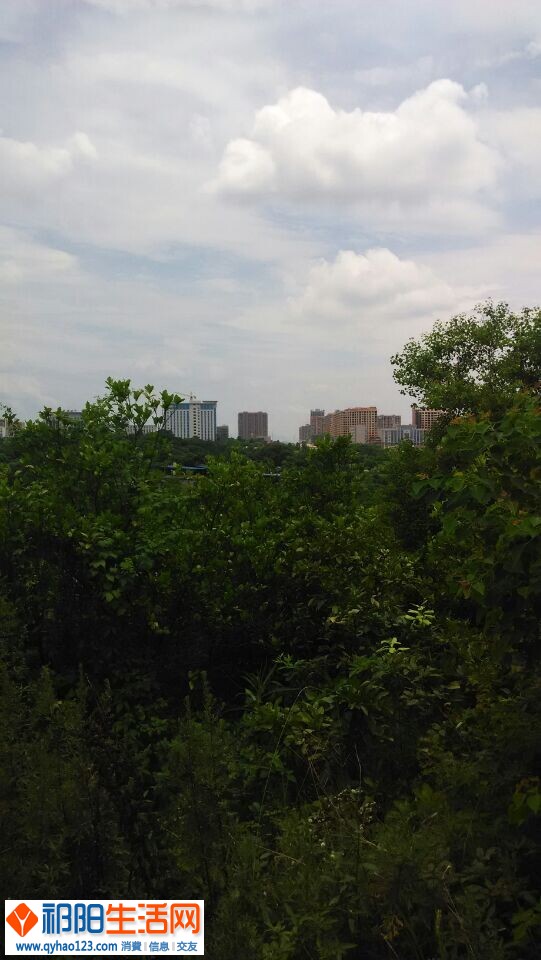 QQ图片20140702201426.jpg