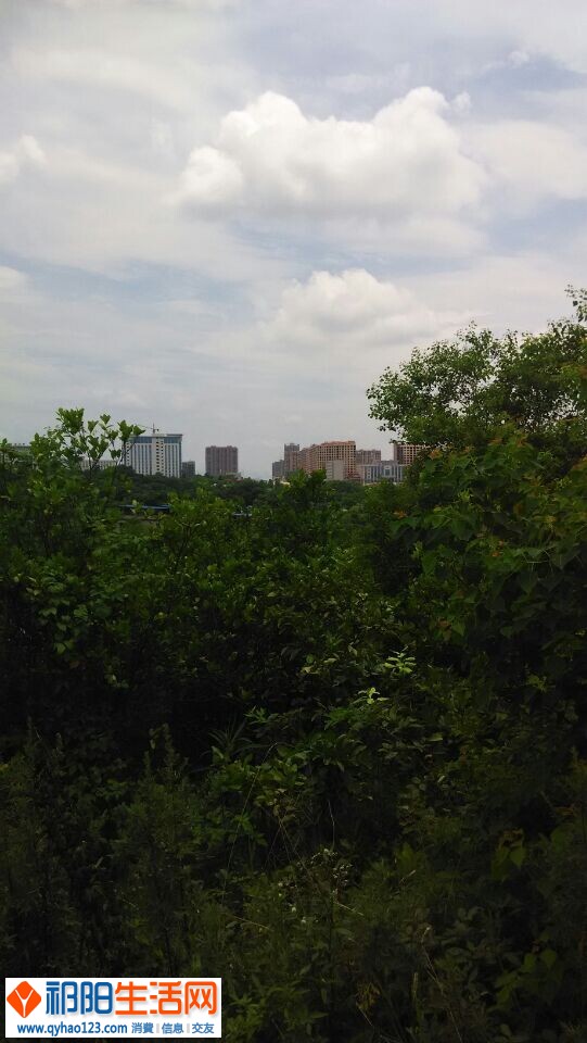 QQ图片20140702201429.jpg