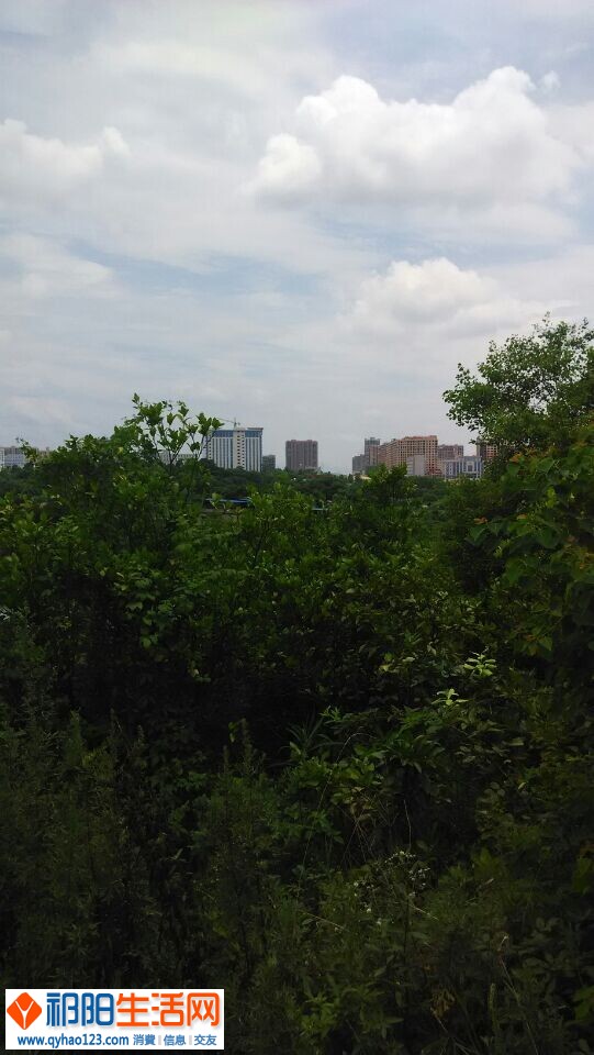 QQ图片20140702201432.jpg