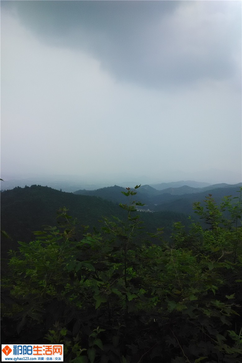 IMG_20140727_145217.jpg