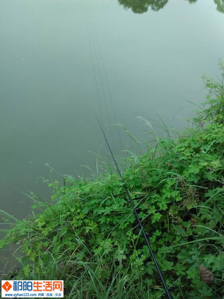 QQ图片20140905142059.jpg