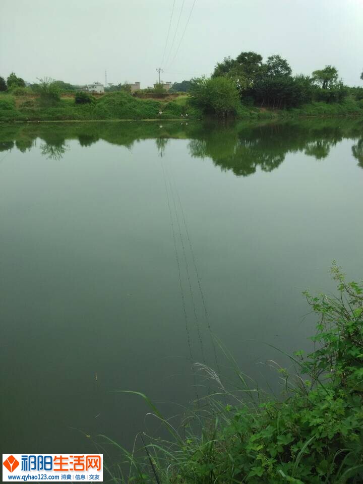 QQ图片20140905142114.jpg