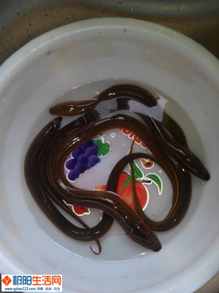 QQ图片20140929154744.jpg