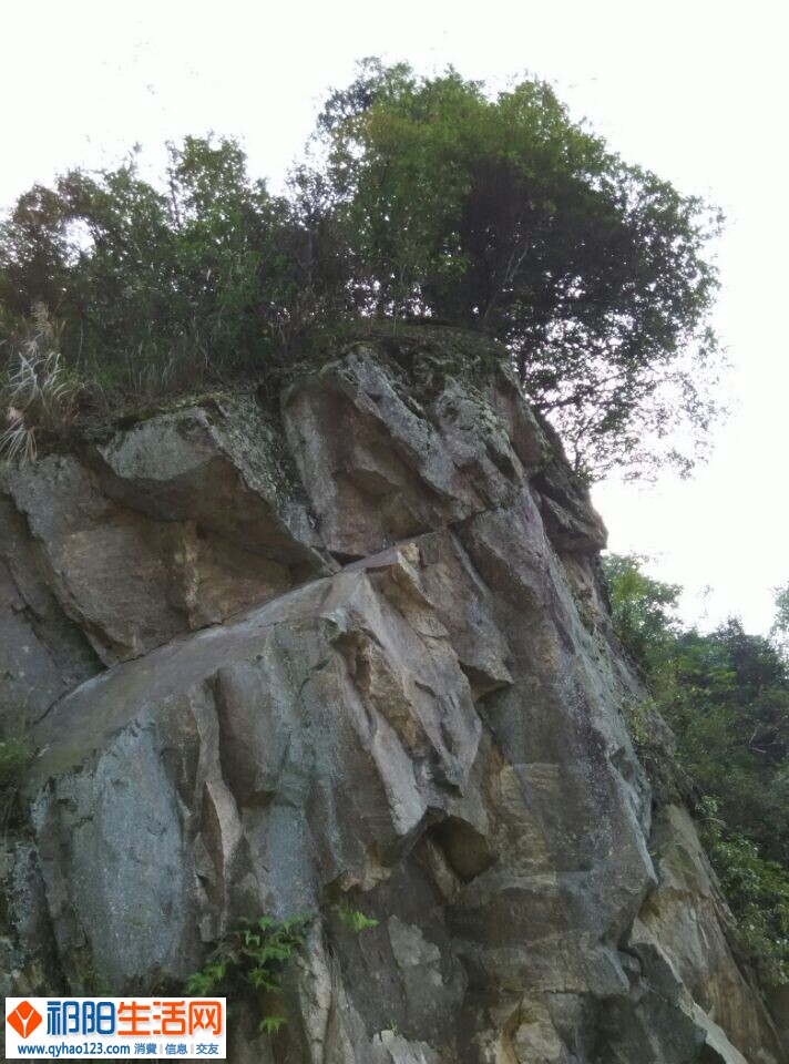 QQ图片20141023195531.jpg