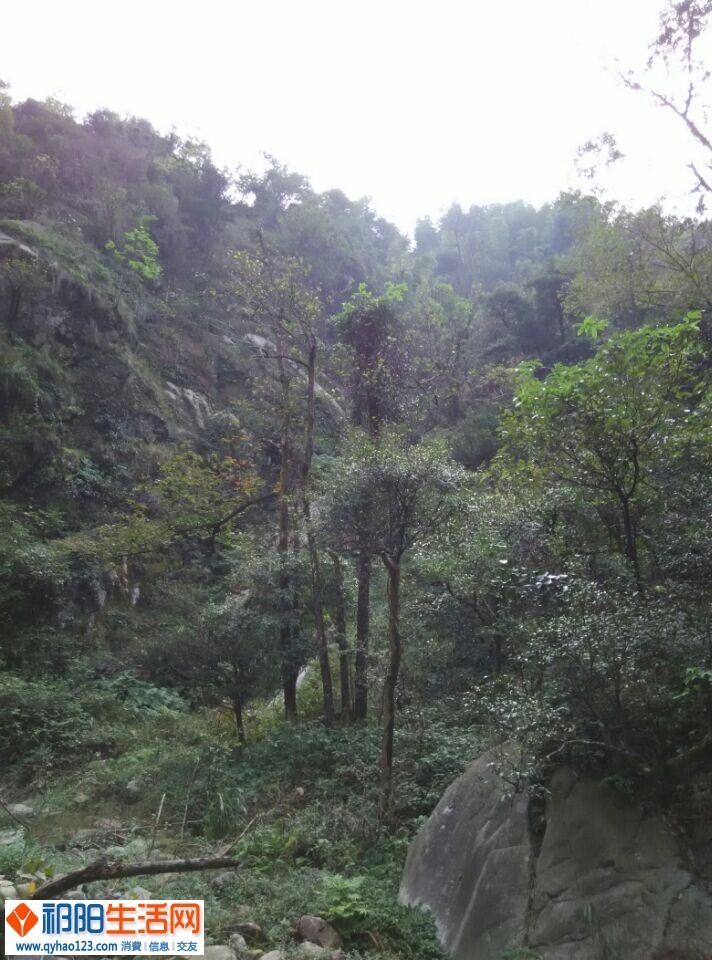 QQ图片20141023195730.jpg