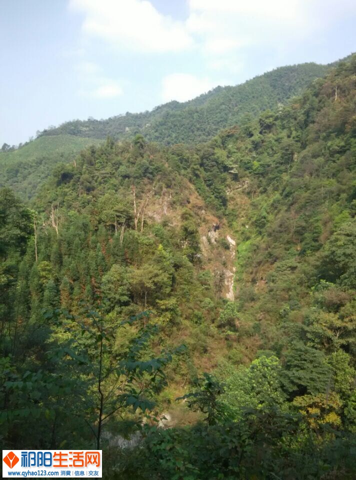 QQ图片20141023195934.jpg