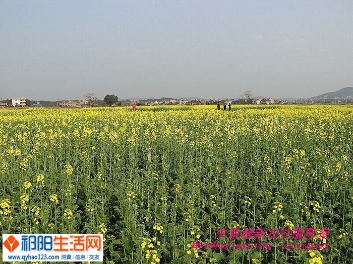 QQ图片20150305105815.jpg