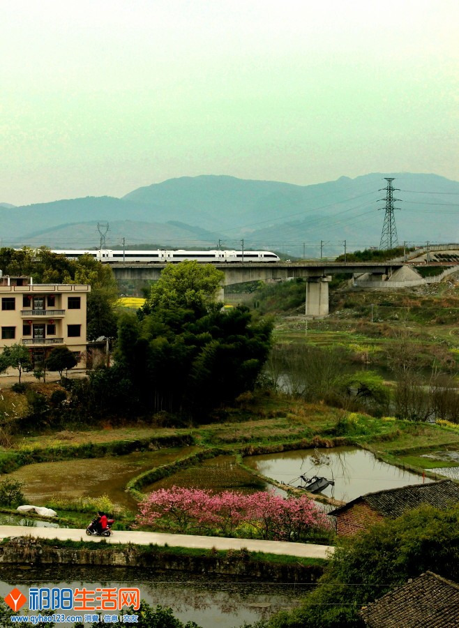 春天的旅程..jpg