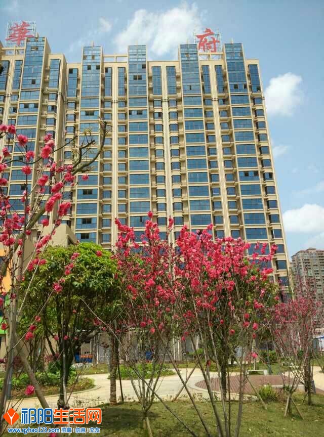 QQ图片20150505143330.jpg