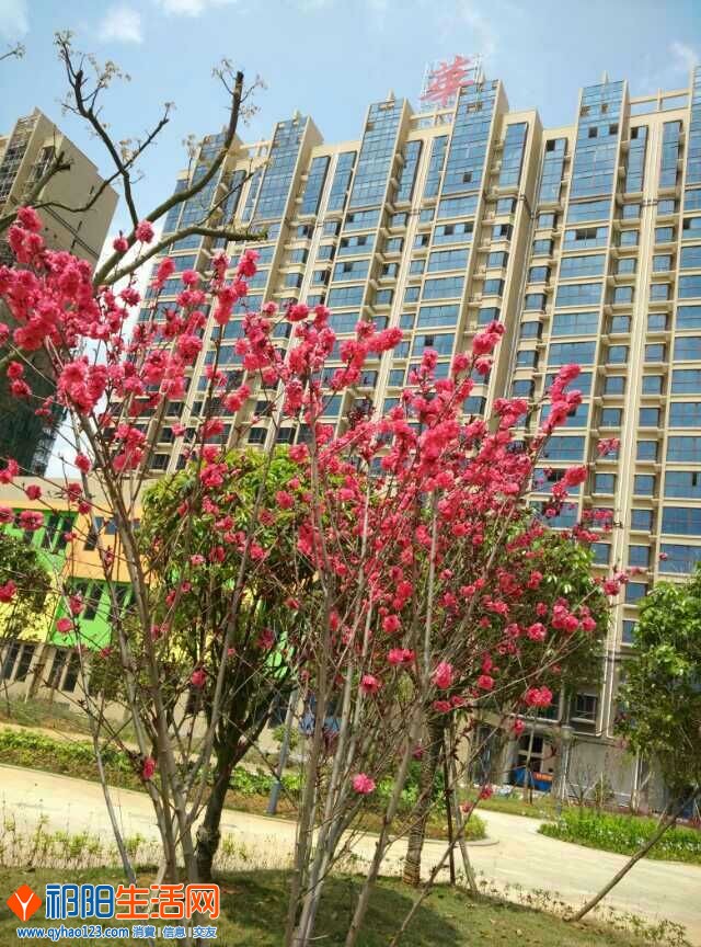 QQ图片20150505143334.jpg