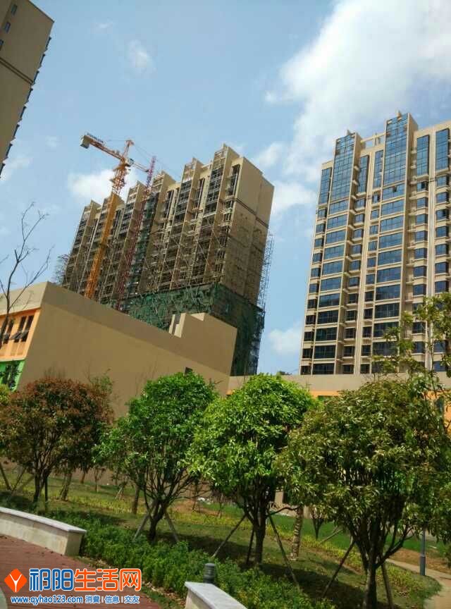 QQ图片20150505142830.jpg