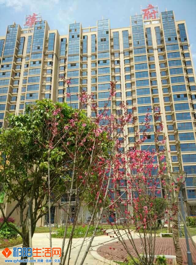 QQ图片20150505143314.jpg