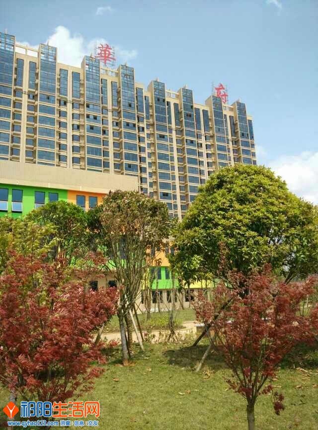 QQ图片20150505143318.jpg