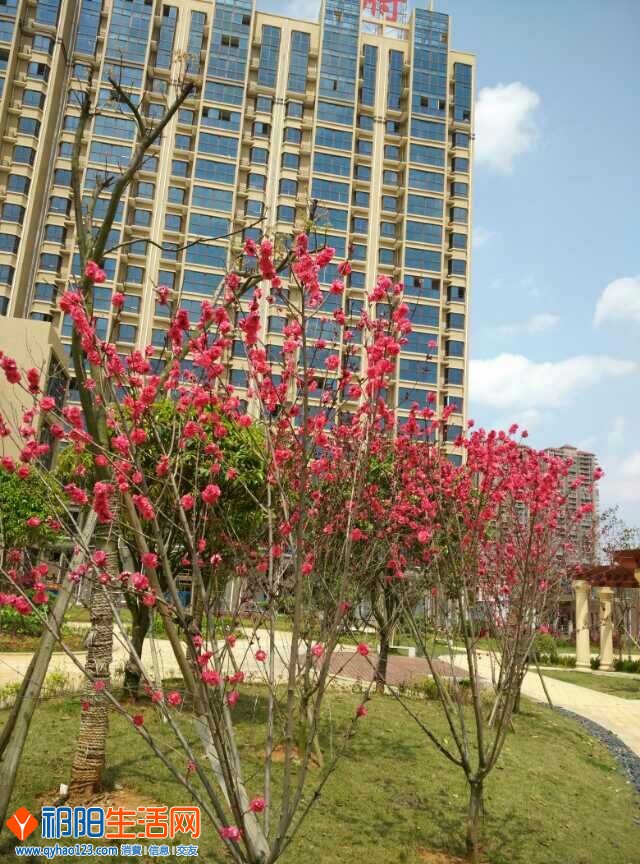 QQ图片20150505143324.jpg