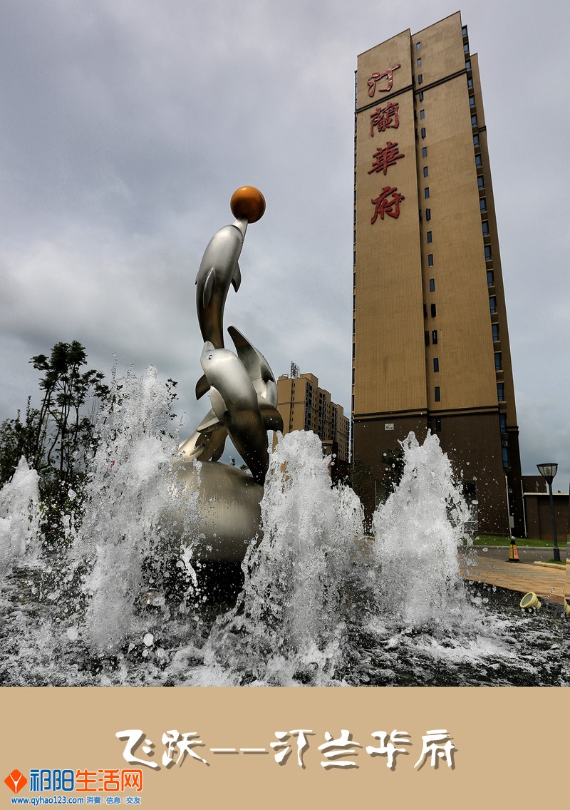 飞跃--汀兰华府--陈新.jpg