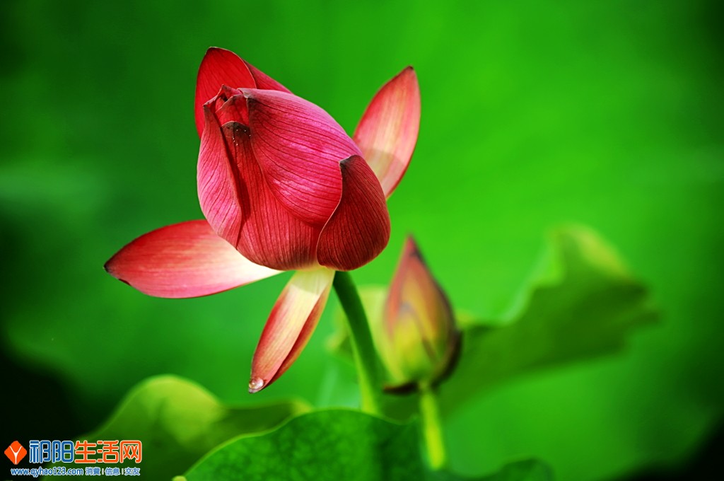 0F5A8325_dh.jpg