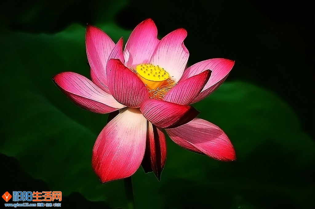 0F5A8327_dh.JPG