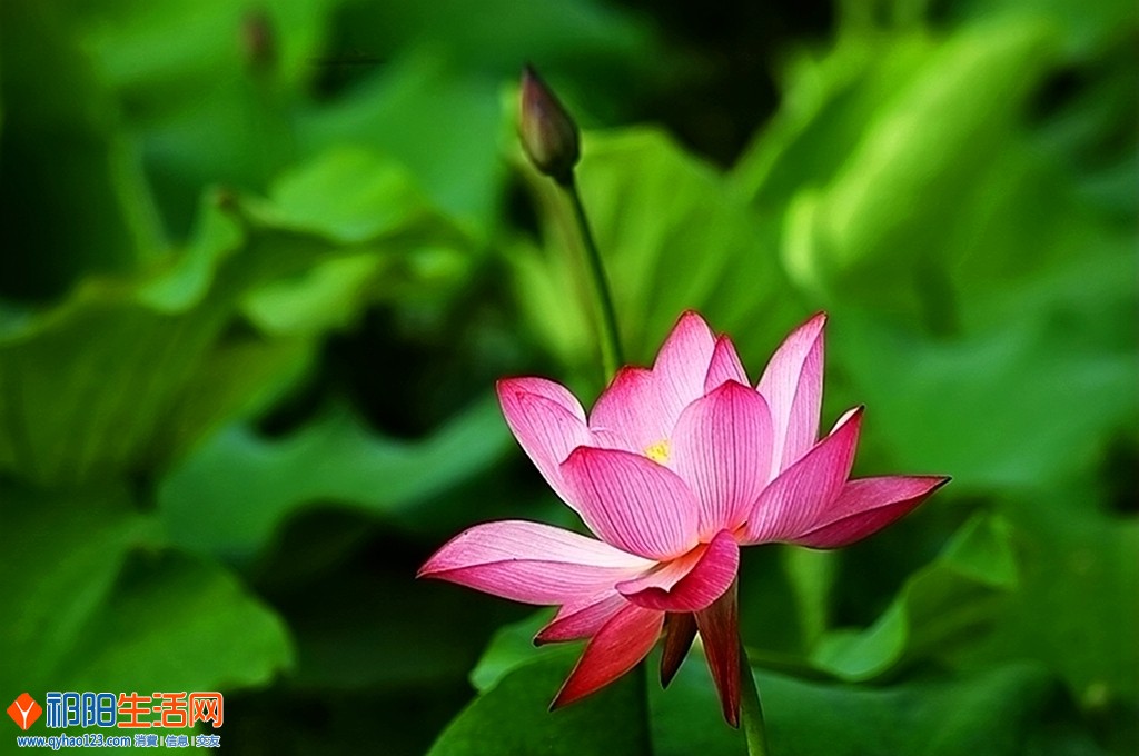 0F5A8359_dh.JPG
