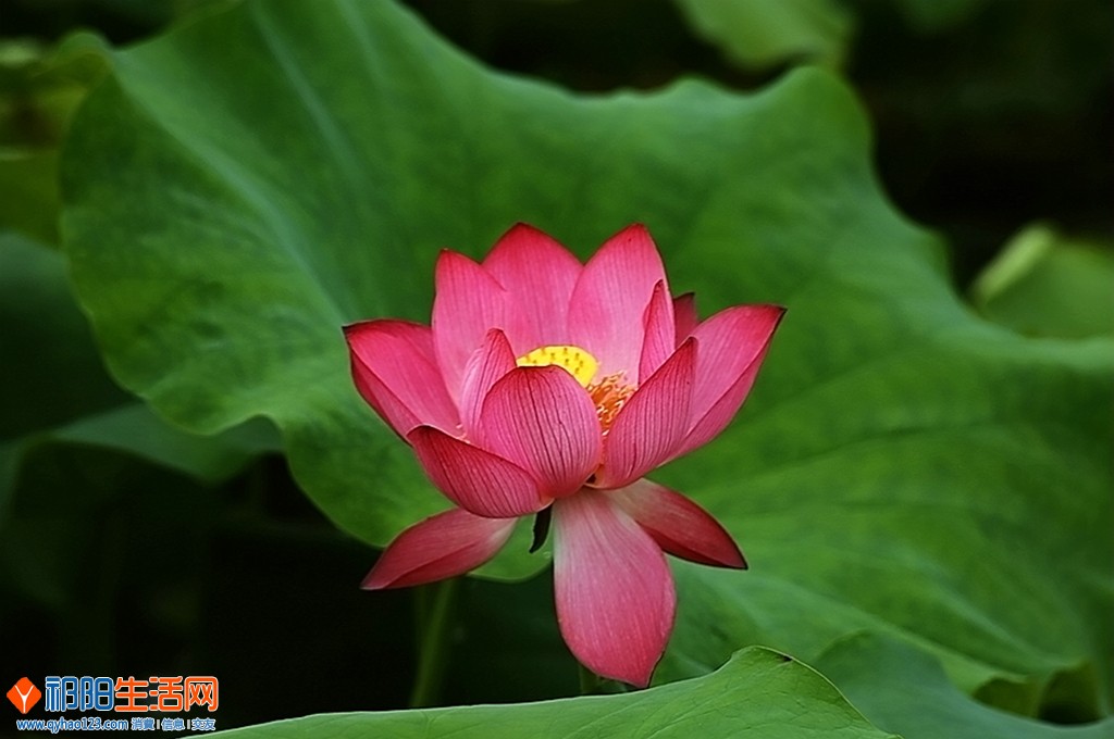 0F5A8381_dh.JPG