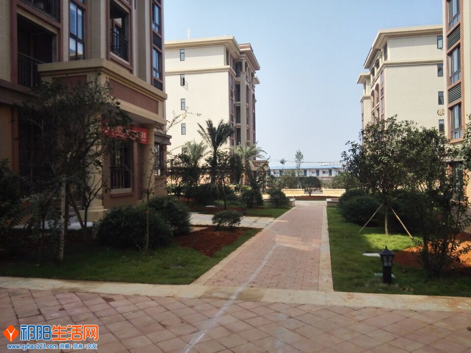 QQ图片20151019200825.jpg