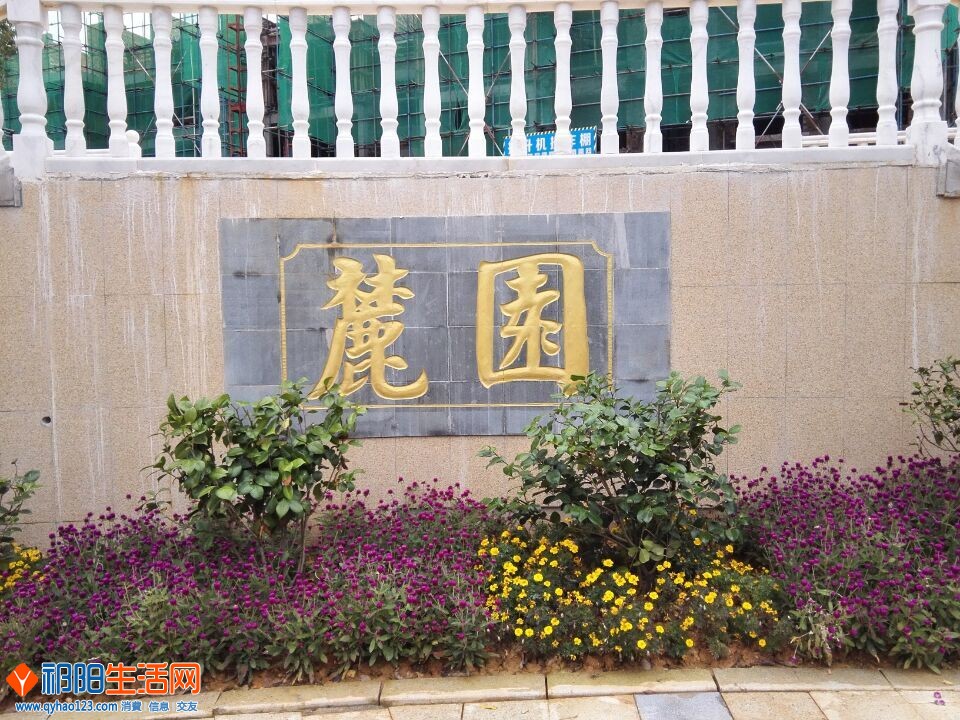 QQ图片20151124201116.jpg