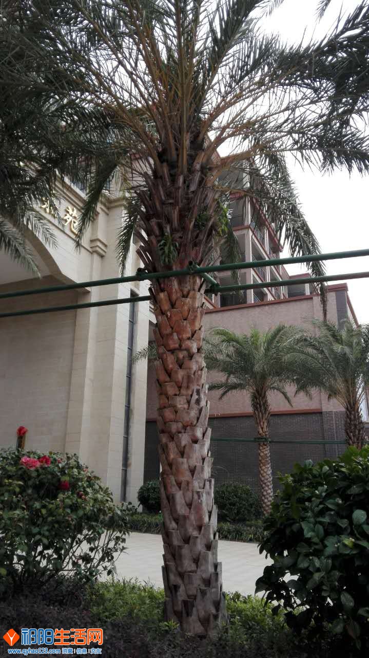 561616767860970700.jpg