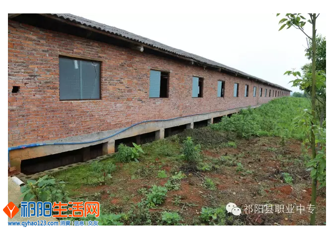 QQ图片20151224201506.png