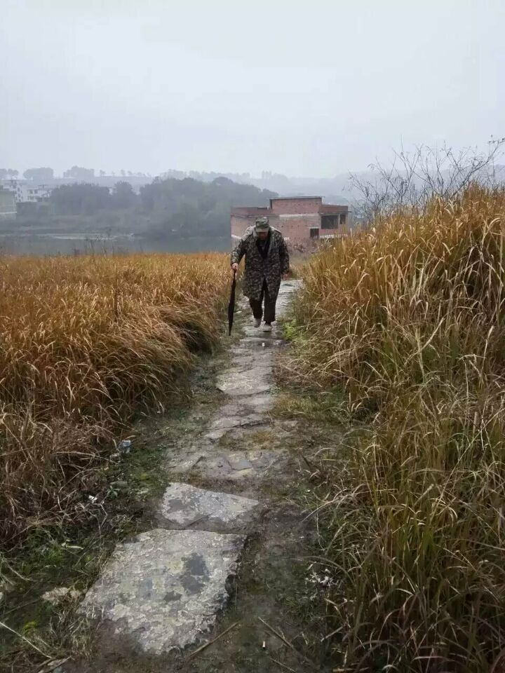 QQ图片20160117101742.jpg