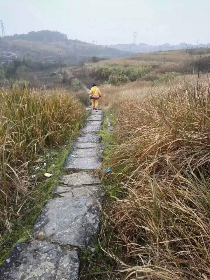 QQ图片20160117101749.jpg