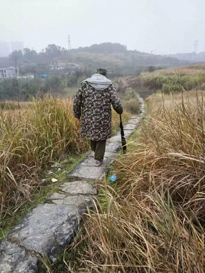 QQ图片20160117101752.jpg