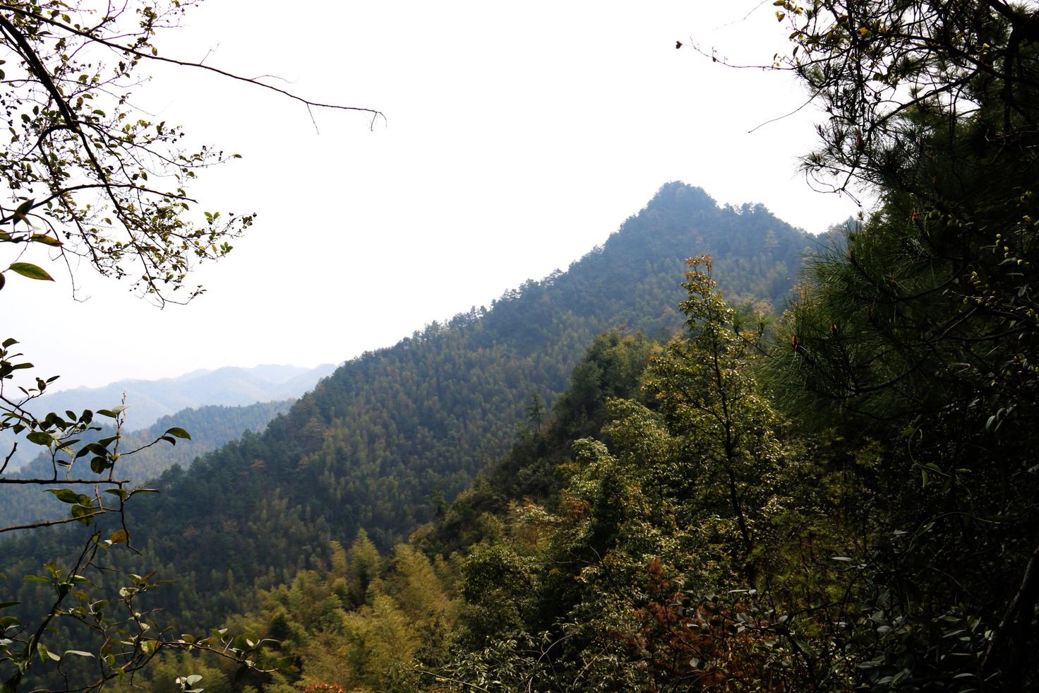 大脑岐巅峰 092.jpg