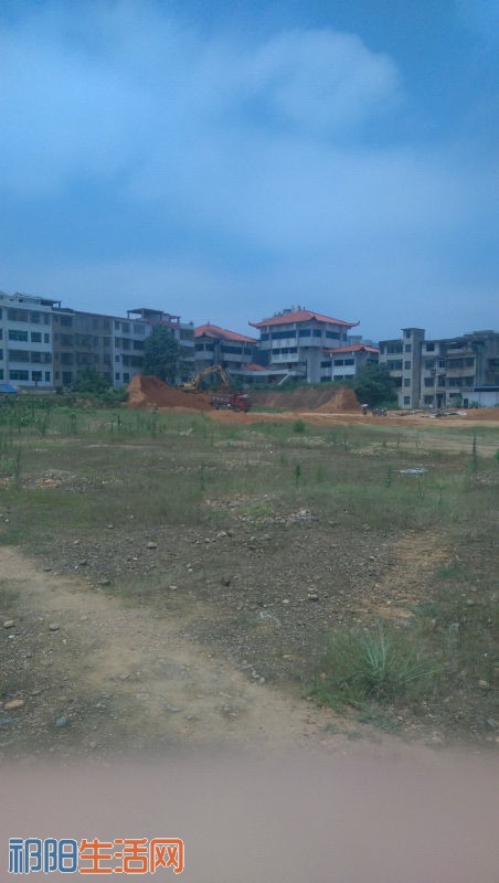 IMAG0128.jpg