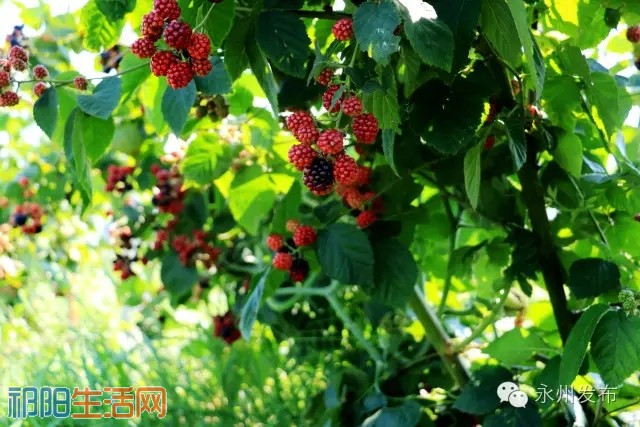 20160707_155608_071.jpg