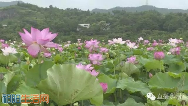 20160809_114514_023.jpg