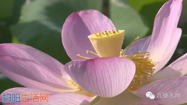 20160809_114514_024.jpg