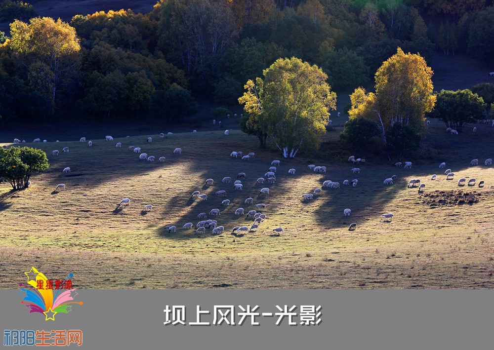 abNA1A9651_副本_副本.jpg