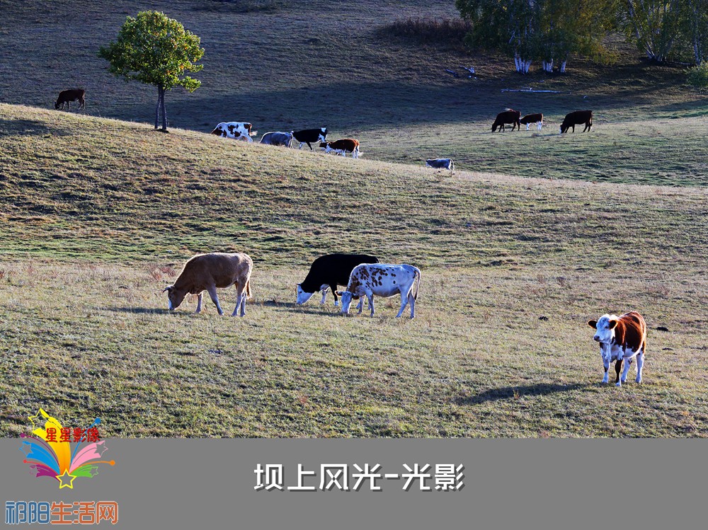 abNA1A9644_副本_副本.jpg