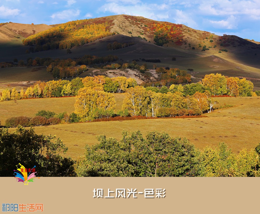 AbNA1A9636_副本_副本.jpg