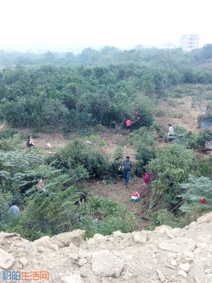 QQ图片20161015104307.jpg