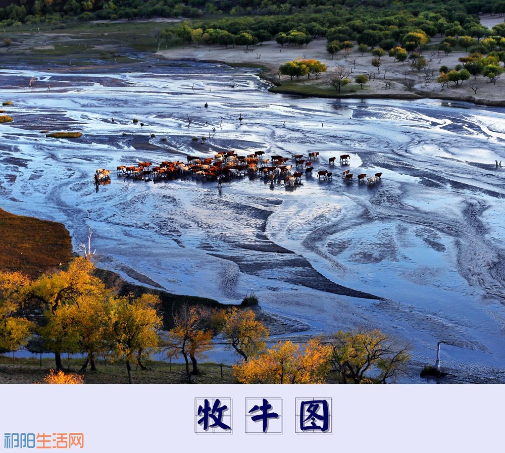 AbaNA1A1161_副本_副本.jpg