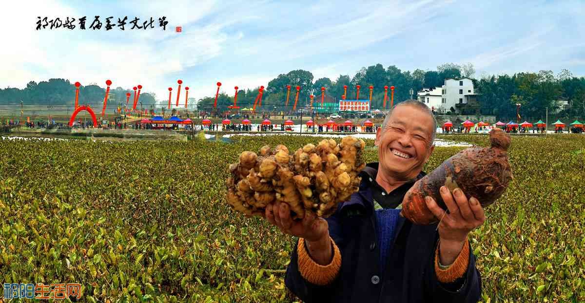 《姜王芋后》.jpg